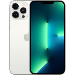 Apple iPhone 13 Pro Max 256GB Silber AUSGEZEICHNET HERVORRAGEND