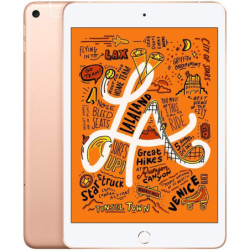Apple iPad Mini 5 64GB 4G LTE CELLULAIRE Or BON ÉTAT