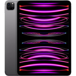Apple iPad Pro 11" 2022 4e génération 256 Go Gris Espace EXCELLENT